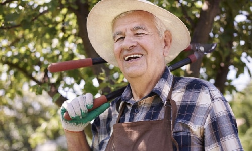 A smilling man pruning.